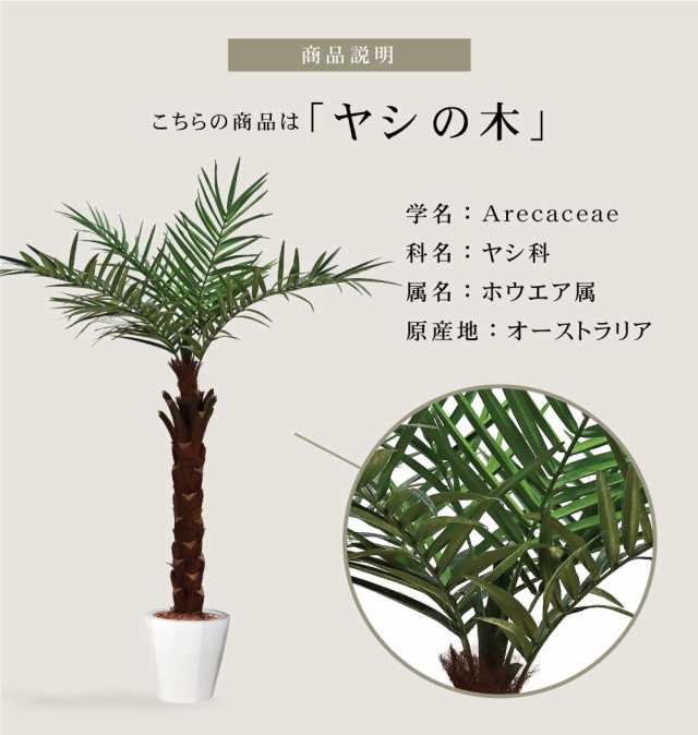 観葉植物 フェイクグリーン 人工観葉植物 ヤシの木 ケンチャヤシ 造花 ...