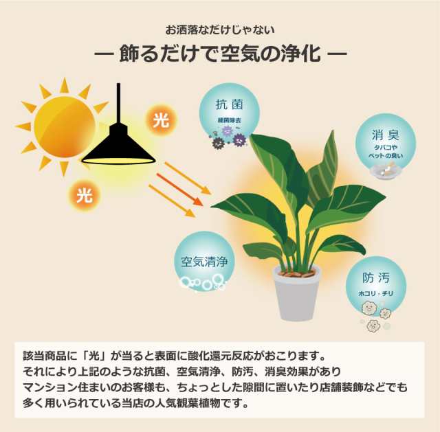 還元際割引クーポン 人工観葉植物 フェイクグリーン 観葉植物 造花 ドラセナ ツリー 陶器鉢付 光触媒 大型 フェイク グリーン インテの通販はau Pay マーケット 恵月人形本舗