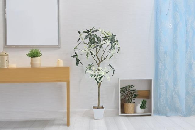 人工観葉植物 父の日 屋外 フェイクグリーン リアル 観葉植物 父の日 屋外 造花 パキラミルキーウェイツリー 鉢付 インテリア おしゃれ 138cmの通販は