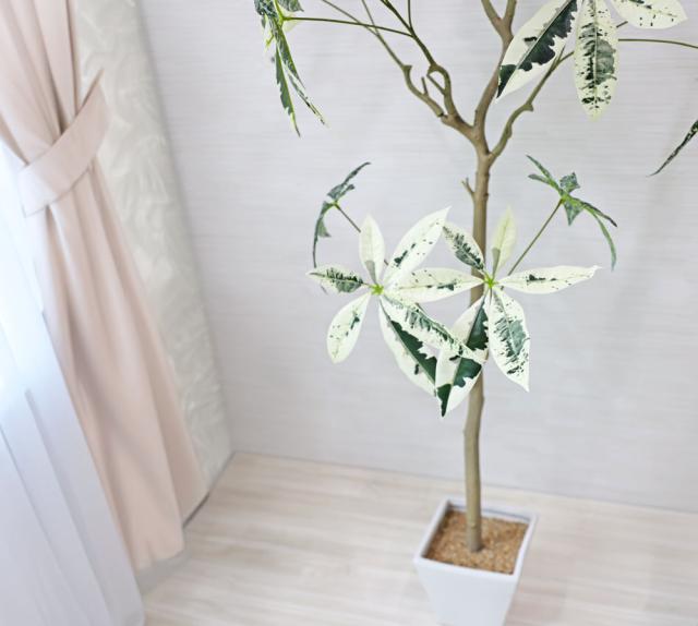 人工観葉植物 父の日 屋外 フェイクグリーン リアル 観葉植物 父の日 屋外 造花 パキラミルキーウェイツリー 鉢付 インテリア おしゃれ 138cmの通販は