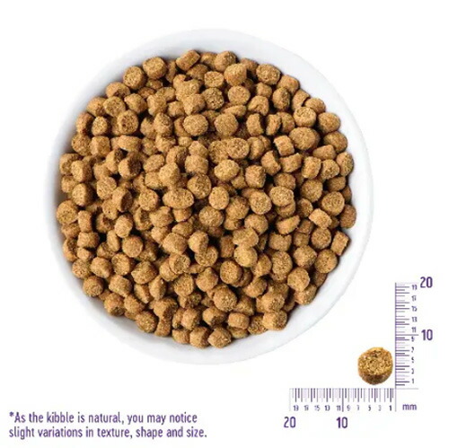 ウェルネスヘルシーバランス キャット 室内猫用（1歳以上） 穀物不使用 サーモン＆ニシン 2.8kg （400g×7袋） キャットフード 【正規品】【ご注文後のキャンセル・返品・交換不可】【代金引換不可・コンビニ後払い不可】_1