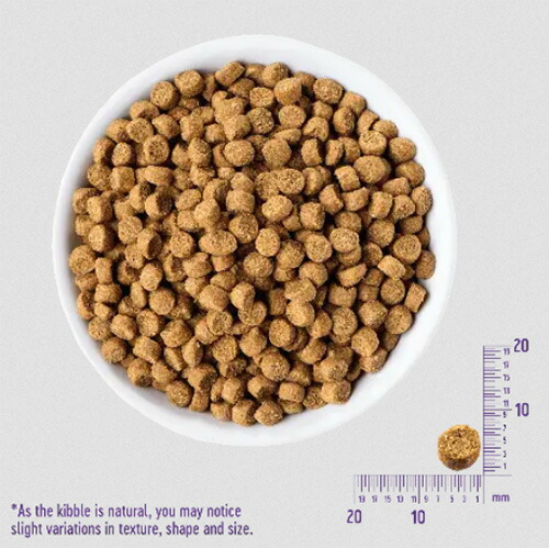 ウェルネスヘルシーバランス キャット 子猫用（離乳期〜1歳） 穀物不使用 骨抜きチキン 2.8kg （400g×7袋） キャットフード 【正規品】【ご注文後のキャンセル・返品・交換不可】【代金引換不可・コンビニ後払い不可】_1