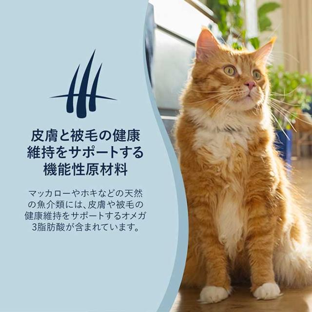 ジウィピーク スチーム＆ドライ キャットフード ワイルド サウス・パシフィック・フィッシュ レシピ 2.2kg ZiwiPeak ジウィピーク【正規品】_1