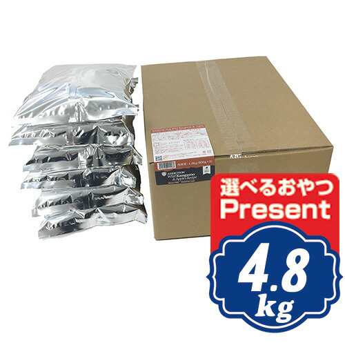 アディクション ワイルドカンガルー＆アップル グレインフリードッグフード 4.8kg 【正規品】【ご注文後のキャンセル・返品・交換不可】の通販は