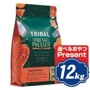 トライバル ドッグ フレッシュサーモン 12kg TRIBAL