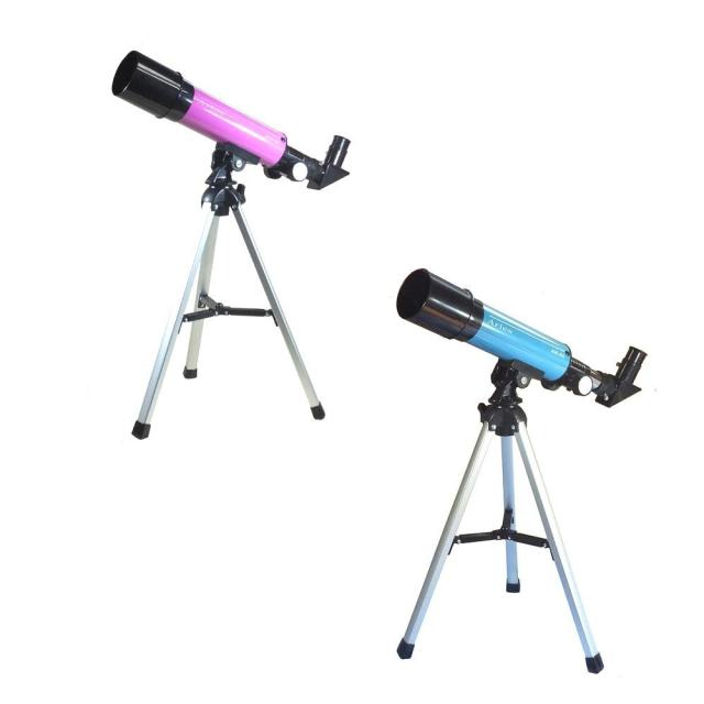 大型dts プレート オリジナル 貴重