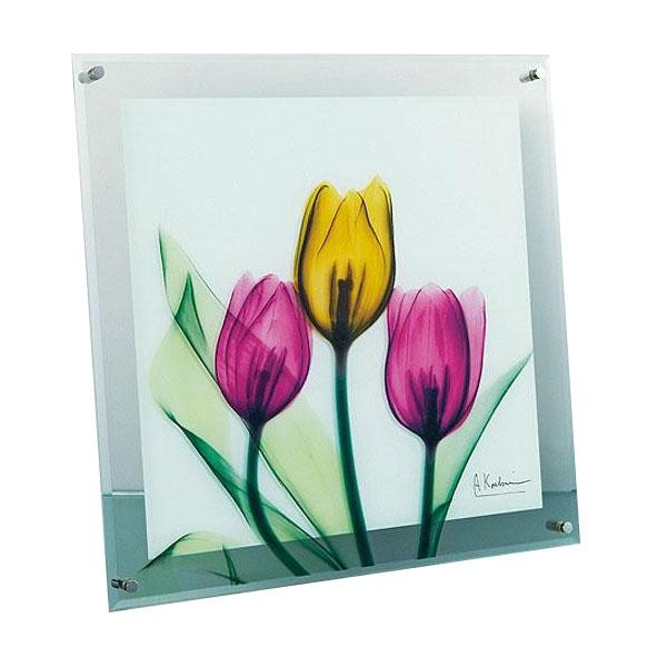 送料無料  X RAY ガラス アート チューリップ Mサイズ XR-05004  レントゲンモチーフが美しいモダンガラスアート♪の通販は 5,868円