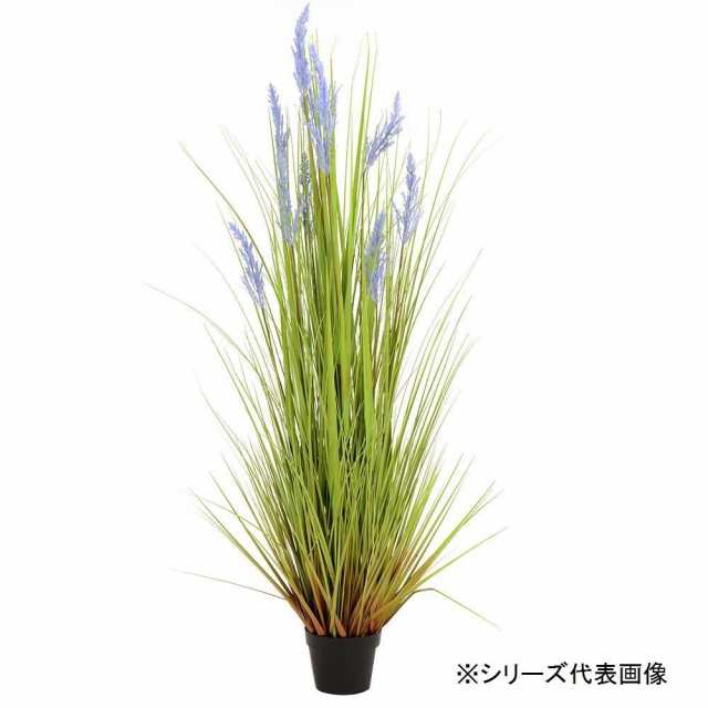 人工観葉植物 グレイングラスパープル M 約122cm の通販はau Pay マーケット ホームセンターセブン Au Pay マーケット店