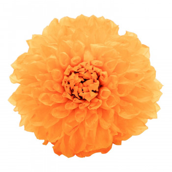 プリザーブドフラワー花材 Fioriente 秋田産 ダリア ユウゼン オレンジ M 2輪入り Jjの通販はau Pay マーケット ビバリオ