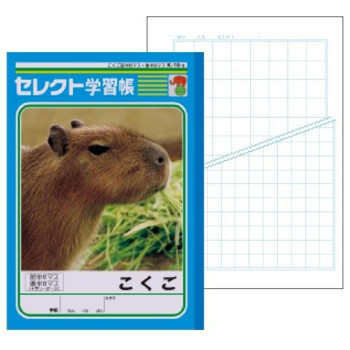 文運堂 セレクト学習帳 教科ノート B5 こくご 前半6マス 35mm方眼 後半8マス 26mm方眼 10冊セット K 10 3 の通販はau Pay マーケット ちょっとみてっ亭