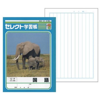 文運堂 セレクト学習帳 教科ノート B5 国語 12mm縦罫 12行 10冊セット K 15 1 の通販はau Pay マーケット インテリアの壱番館