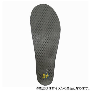 送料無料  ホシノ インソール Flying Foot Hoshino Insole B+VC25M Variable Control 25M  S  サポート力を簡単にカスタマイズできるメッシュ採用モデル