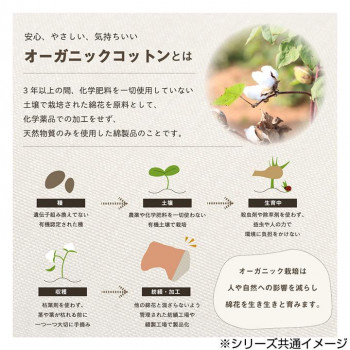 ポイント増量中 クーポンあり シンプルで飽きの来ないデザインです 日本製 洗える オーガニックコットン 寄りかかり クッション ピンク の通販はau Pay マーケット プロフィット