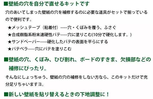 穴埋め補修キット 壁紙の穴 Kf 131 約5cmの壁紙の穴 3ヶ所補修できる分のセット の通販はau Pay マーケット ｄｉｊ ｍｉｃ