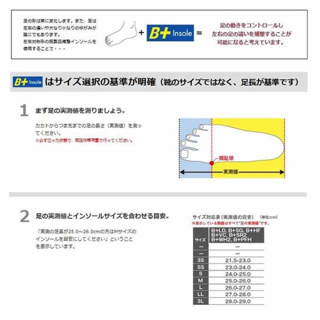 ホシノ インソール Flying Foot Hoshino Insole B+VC25M Variable