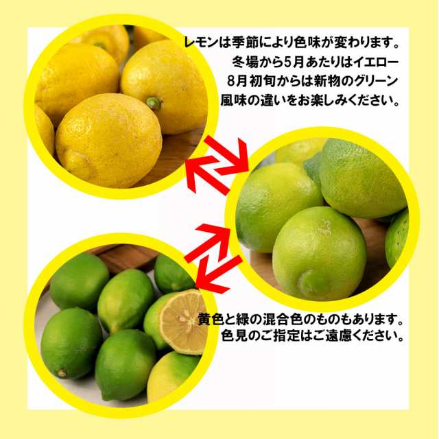 レモン 檸檬 愛媛県産 訳あり ノーワックス 防腐剤不使用 新物 不揃い 5ｋｇ 送料無料の通販はau Pay マーケット ベジろう