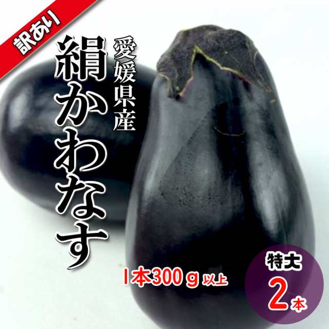 絹皮なす 訳あり 丸茄子 茄子 なす ナス ぼて茄子 愛媛県産 送料無料 特大 2本の通販はau PAY マーケット - ベジろう