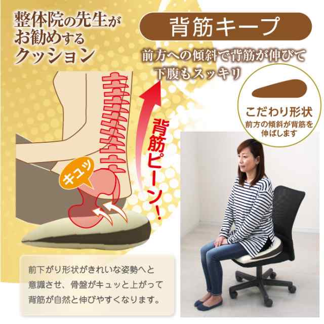 医師 腰痛 安い クッション