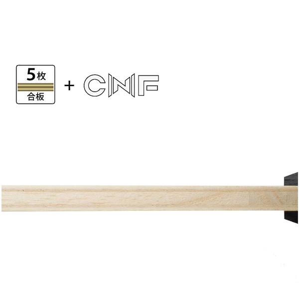 バタフライ 卓球ラケット]レボルディア CNF REVOLDIA CNF フレア 37061