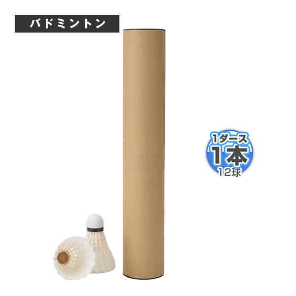 ミズノ公式 バドミントンシャトルコック スカイクロスGX-I ユニ