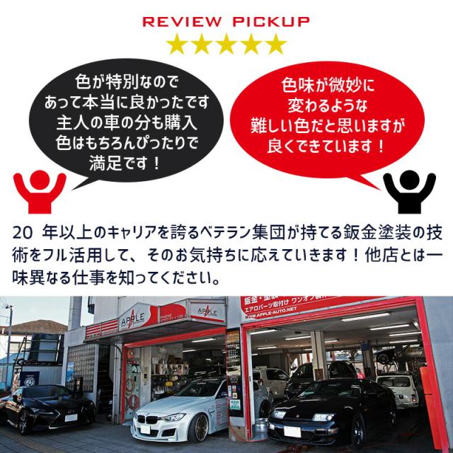 ペイント GIANT ジャイアント ESCAPE R3 エスケープR3 ブラックトーン 2トーン カラー番号 GG1/GS2 300ml 塗料 ロードバイク・MTB補修用