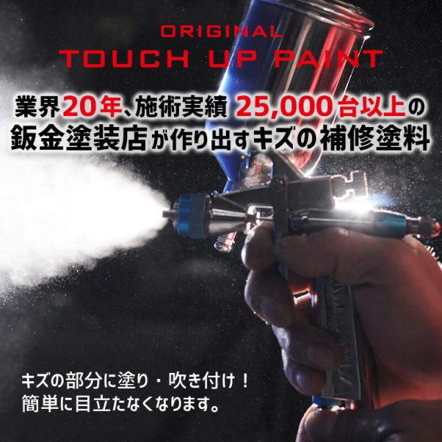 ペイント GIANT ジャイアント ESCAPE R3 エスケープR3 ブラックトーン 2トーン カラー番号 GG1/GS2 300ml 塗料 ロードバイク・MTB補修用
