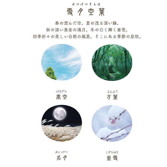 【取り寄せ品】セーラー万年筆 四季織 SHIKIORI 万年筆 雪月空葉11-1224 SSP 【送料無料】 全8種から選択_1