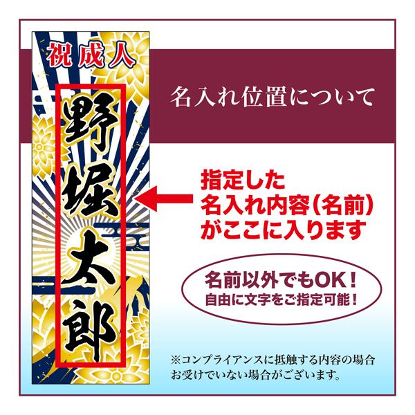 卒業 入学 に変更可能 成人式 のぼり旗 ポール付き 成人式柄 60