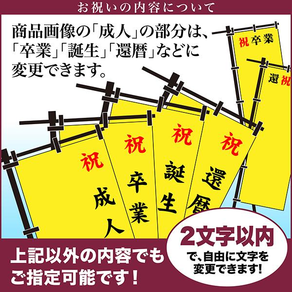 卒業 入学 等に変更可能 成人式 のぼり旗 黒帯 黒ポール付き 成人式柄