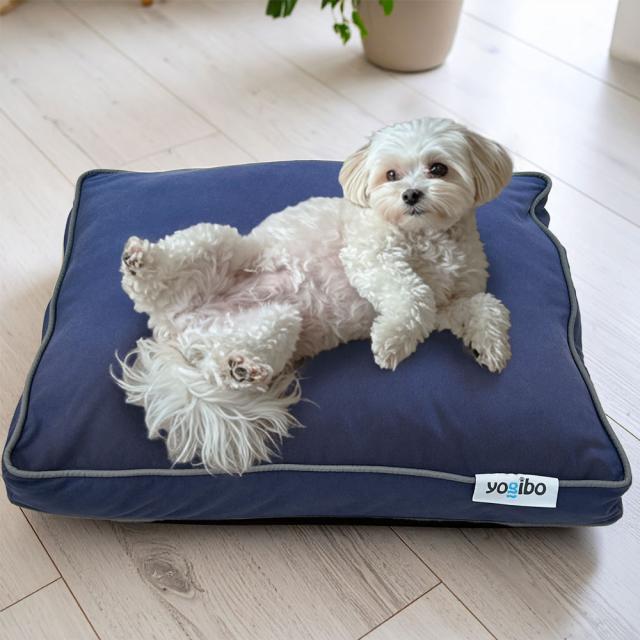 Doggybo Mini（ドギボー ミニ）　オマケ付き Amazon | Doggybo Mini ドギボー ミニ ダークグレー | Yogibo