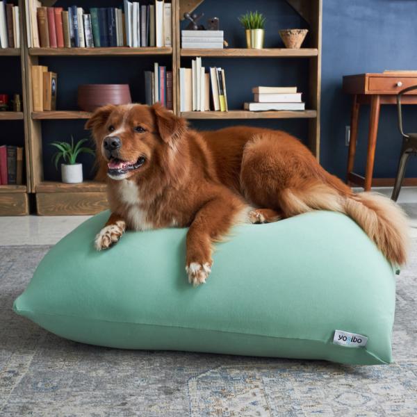 10%OFF】 小さめのお部屋でも使えるコンパクトなソファ「Yogibo