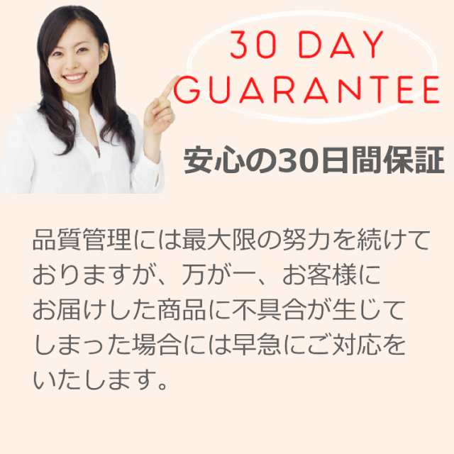 コインアルバム ホルダー コイン ホルダー アルバム 250枚 収納 コイン