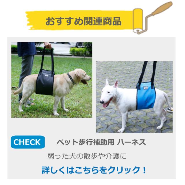ペット 犬 オムツカバー マナーベルト マナーバンド オス用 マナーパンツ おむつカバー 5サイズ 3カラー 介護 生理 おしっこ 送料無料の通販はau Pay マーケット Portoオンラインshop
