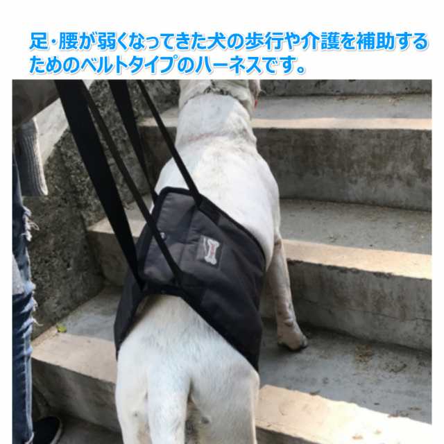 ペット用 歩行補助ハーネス Lサイズ 犬 介護 ハーネス ブルー グレー 老犬 介護に リード 送料無料の通販はau Pay マーケット Portoオンラインshop