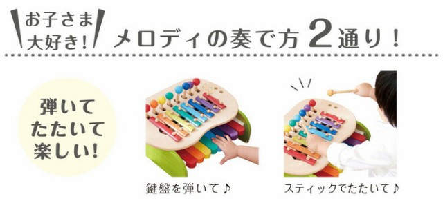 森のメロディーメーカー Ed.Inter エドインター 知育玩具 木のおもちゃ