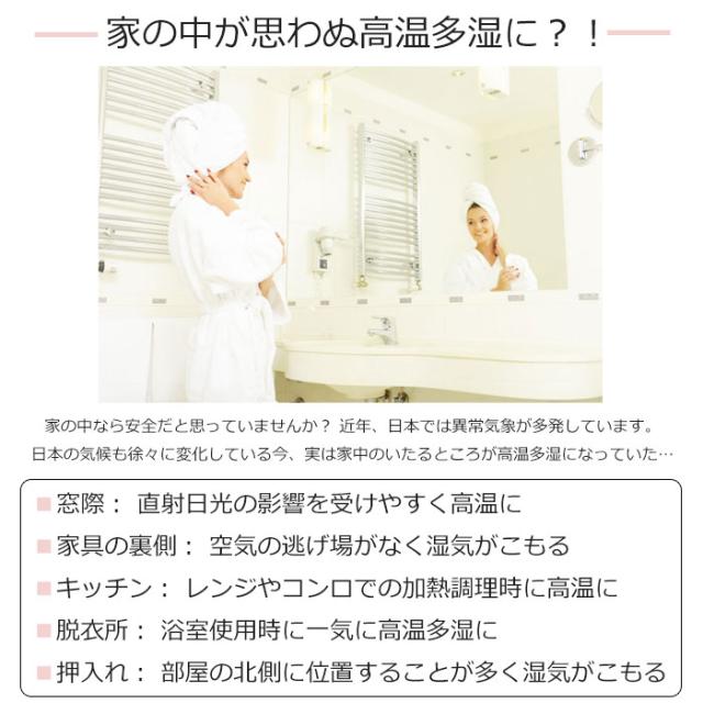 コスメ 専用 ミニ 冷蔵庫 化粧品 日本製 保冷庫 Skincare Fridge コスメセラー Cooltai クータイの通販はau Pay マーケット Good Things Au Pay マーケット店
