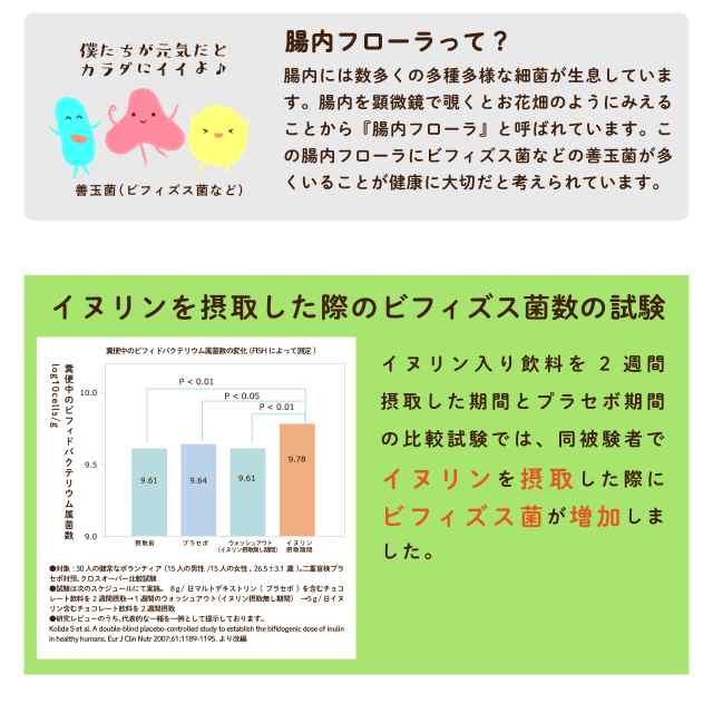 機能性表示食品 イヌリン 500g 血糖値 便秘 サプリメント サプリ 菊芋 食物繊維 いぬりん ロハスタイル LOHAStyle 腸内環境  の通販はau PAY マーケット - LOHAStyle au PAY マーケット店