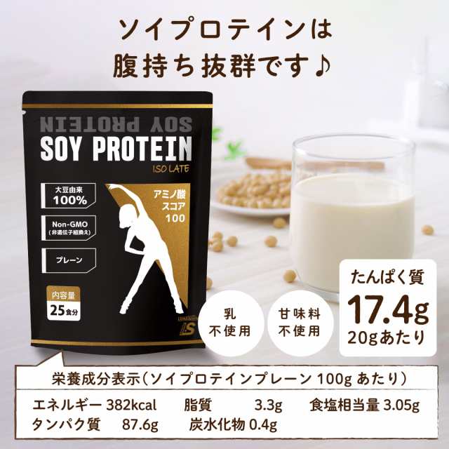 ソイプロテイン 500g 大豆プロテイン ソイ ダイエット 無添加 LOHAStyle ロハスタイルの通販はau PAY マーケット -  LOHAStyle au PAY マーケット店