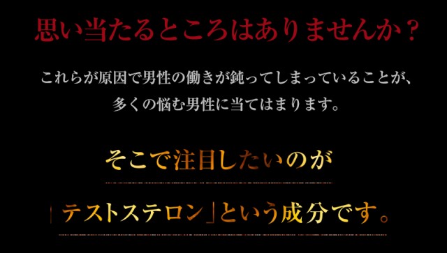 トンカットアリ サプリ 180粒 tongkat ali ガラナ フェヌグリーク 送料無料 LOHAStyle ロハスタイルの通販はau PAY マーケット - LOHAStyle au PAY マーケット店 トンカットアリ サプリ 180粒 tongkat ali ガラナ フェヌグリーク 送料無料 LOHAStyle ロハスタイルの通販はau PAY マーケット - LOHAStyle au PAY マーケット店