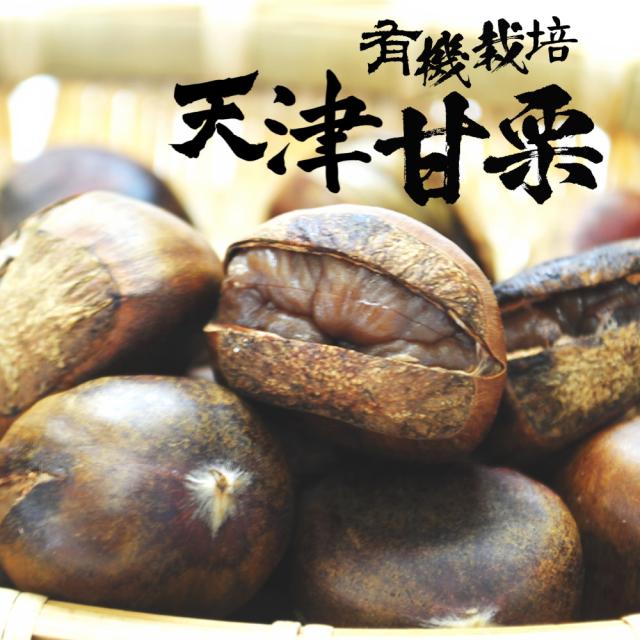 甘栗 約260g 1袋 天津甘栗 栗 殻付き あまぐり くり クリ 送料無料の