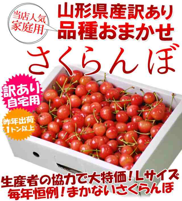 送料無料 さくらんぼ 山形県産 約1kg バラ直詰め Ｌサイズ サクランボ 訳あり 家庭用 品種おまかせ