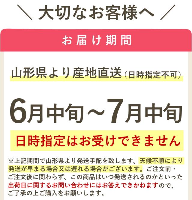 【6月中旬頃から出荷予定/予約販売】送料無料【露地栽培】さくらんぼ　まかない　訳あり　1kg　バラ詰め　大粒LLサイズ　山形県産/ 沖縄.離島配送不可 wroji_7