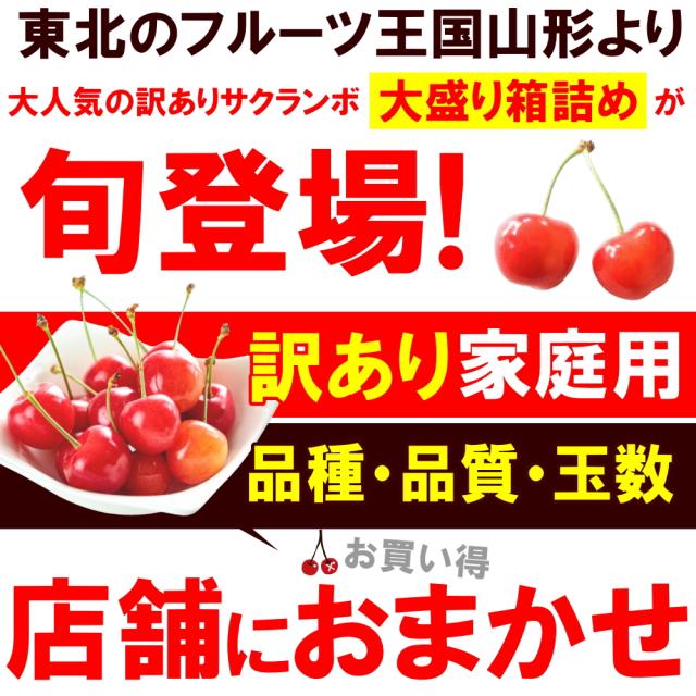 【6月中旬頃から出荷予定/予約販売】送料無料【露地栽培】さくらんぼ　まかない　訳あり　1kg　バラ詰め　大粒LLサイズ　山形県産/ 沖縄.離島配送不可 wroji_2