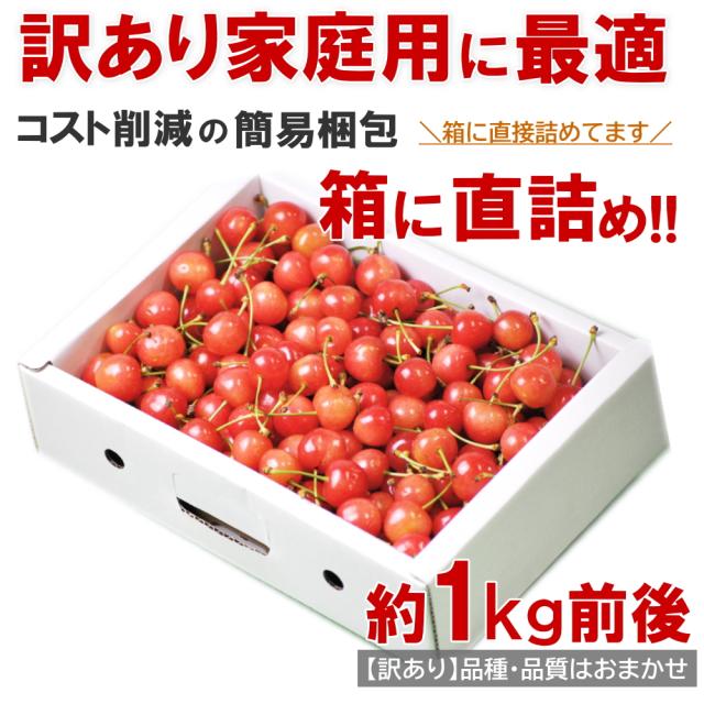 【6月中旬頃から出荷予定/予約販売】送料無料【露地栽培】さくらんぼ　まかない　訳あり　1kg　バラ詰め　大粒LLサイズ　山形県産/ 沖縄.離島配送不可 wroji_3