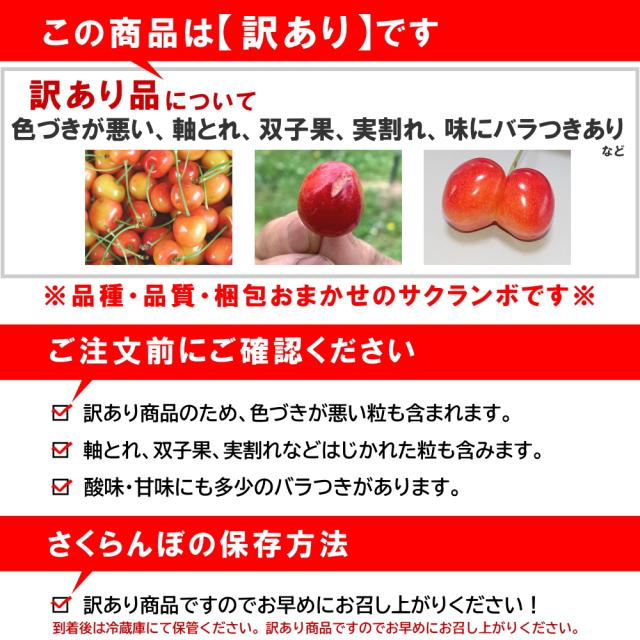 【6月中旬頃から出荷予定/予約販売】送料無料【露地栽培】さくらんぼ　まかない　訳あり　1kg　バラ詰め　大粒LLサイズ　山形県産/ 沖縄.離島配送不可 wroji_4