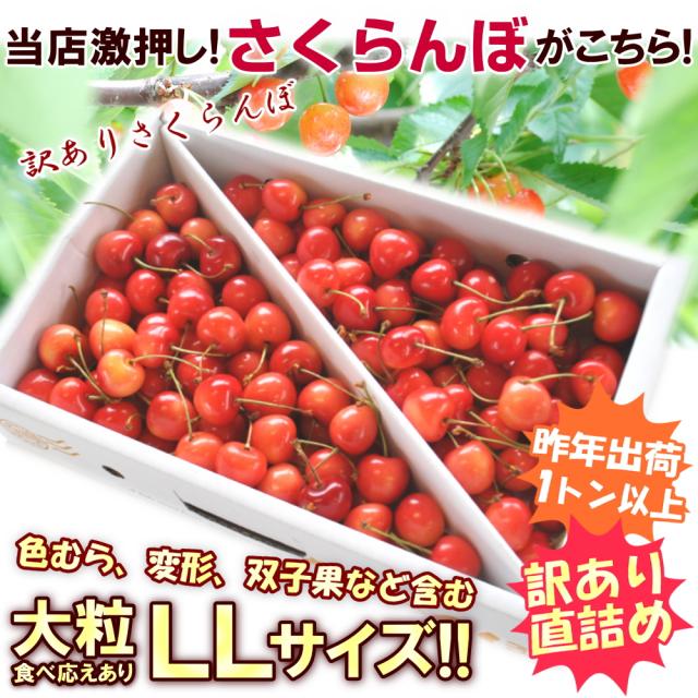 【6月中旬頃から出荷予定/予約販売】送料無料【露地栽培】さくらんぼ　まかない　訳あり　1kg　バラ詰め　大粒LLサイズ　山形県産/ 沖縄.離島配送不可 wroji_1