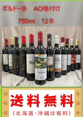 送料無料  ボルドー金賞　AO格付け　赤 12本セット　750ml  ----2（北海道、沖縄は有料）の通販は
