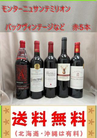 モンターニュサンテミリオン. ブルゴーニュなど　赤4本白1本　750ml 酒 バックビンテージ,ブルゴーニュ、モンターニュサンテミリオなど 赤5