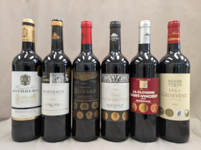 フランス金賞受賞　赤白12本セット　750ml 送料無料 フランス金賞受賞 赤白12本セット 750ml（北海道、沖縄は有料）