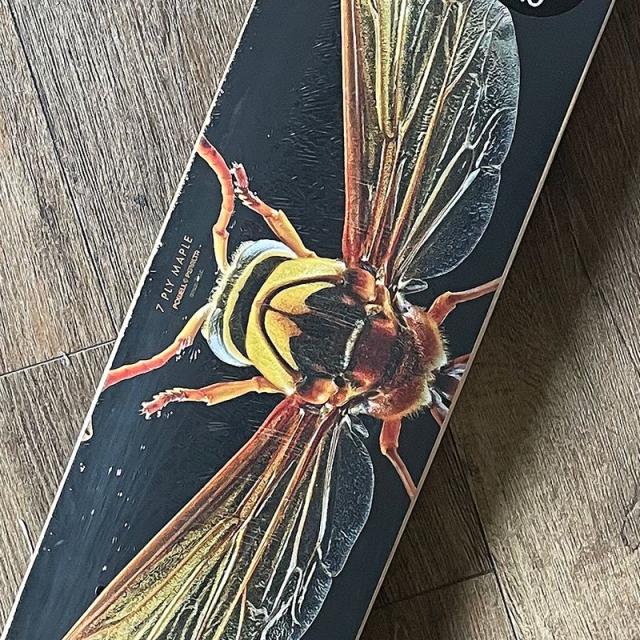 パウエル POWELL スケートボード デッキ BISS POTTER WASP DECK 8.0インチ NO68_3
